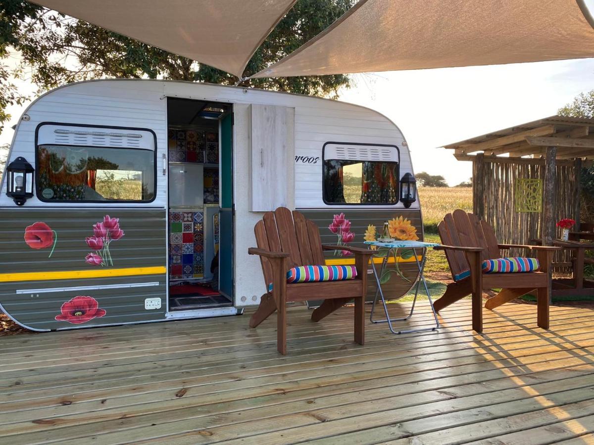 Hluhluwe Bush Camp Glamping Village المظهر الخارجي الصورة